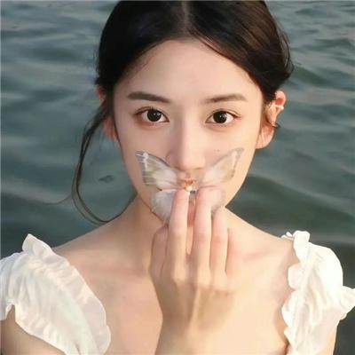盗贼泰瑞莎